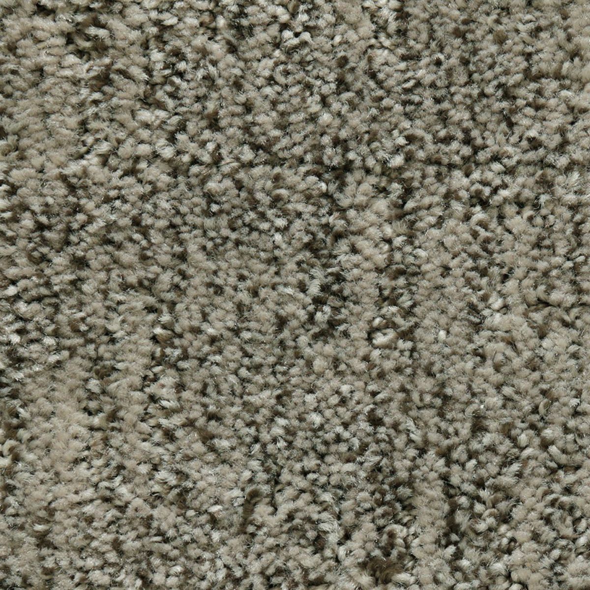 Antique Comfort carpet in Mineral