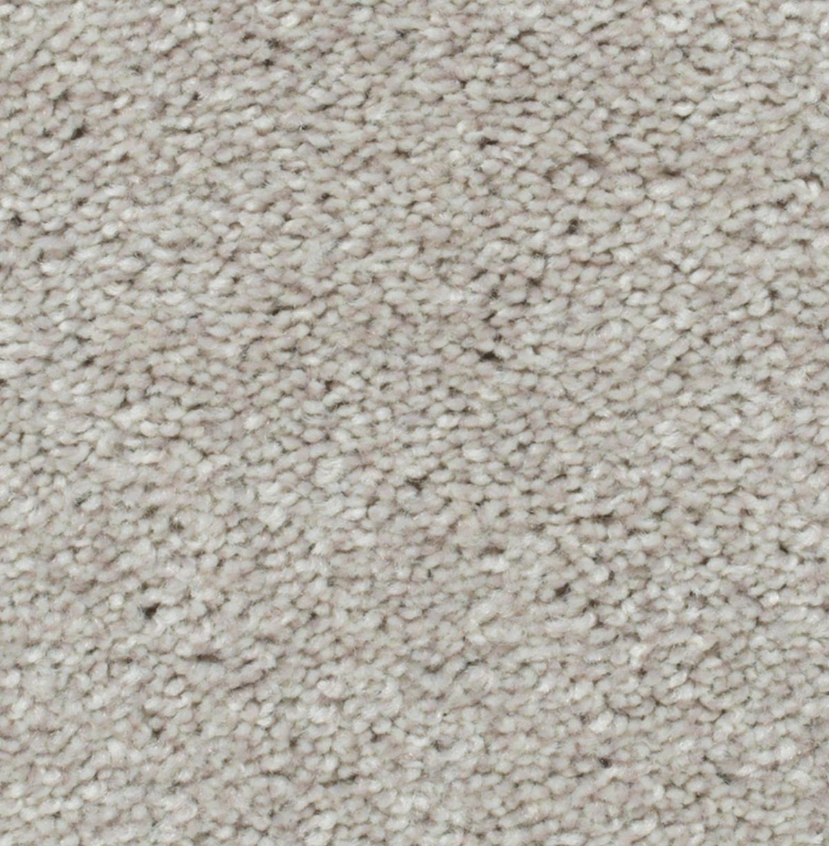 Crestview carpet in Paper Moon