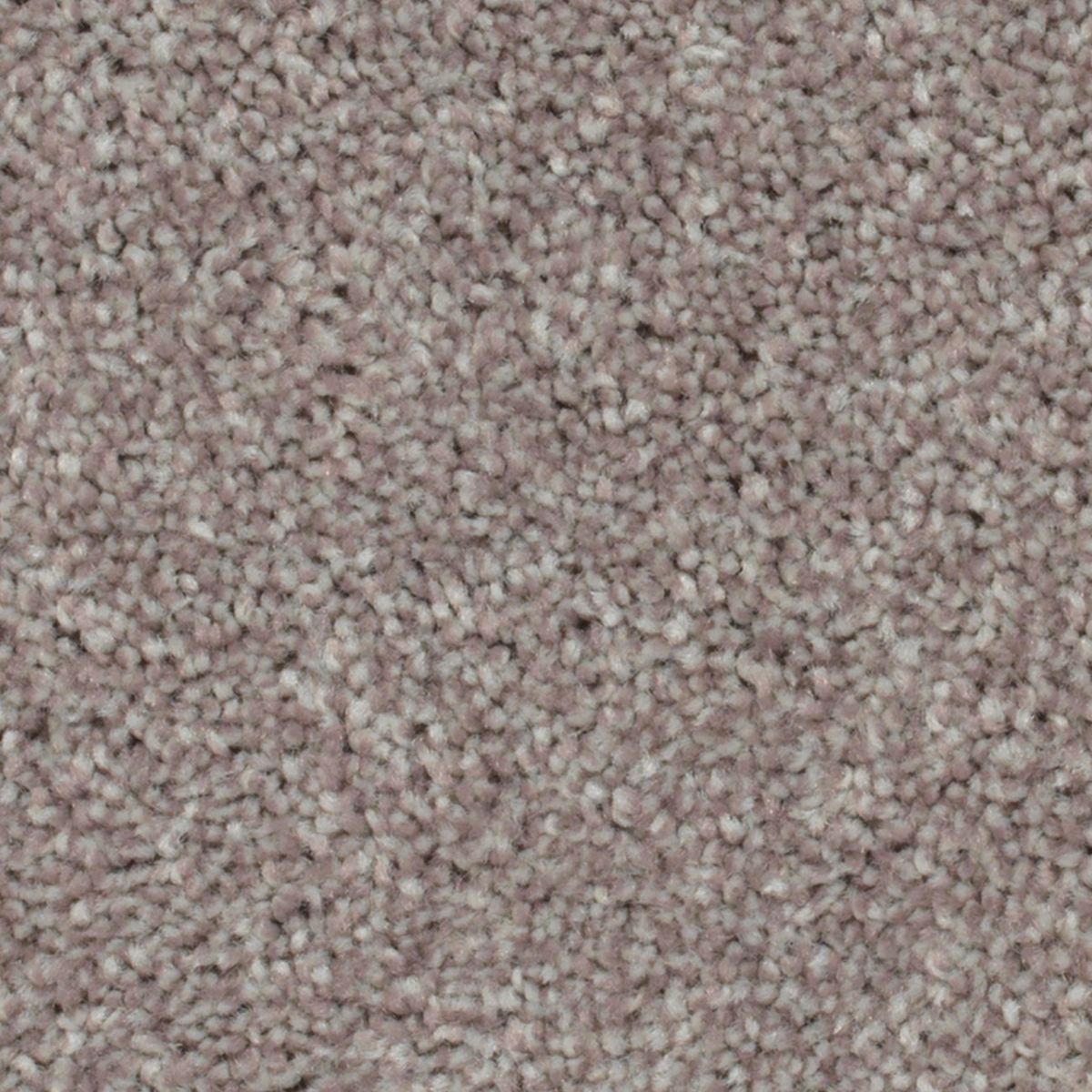 Wilmington Creek carpet in Bliss