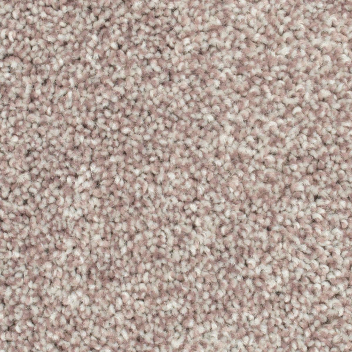 Crestview carpet in Veranda