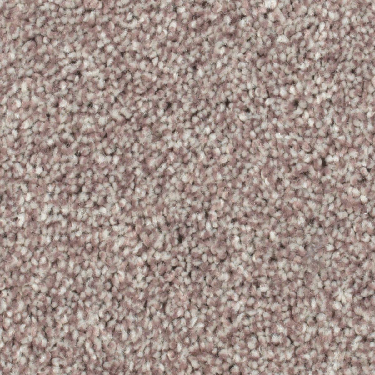 Crestview carpet in Charmer