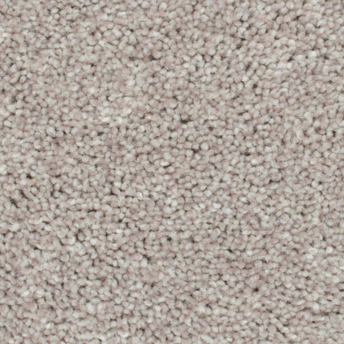 Crestview carpet in Fox Hunt