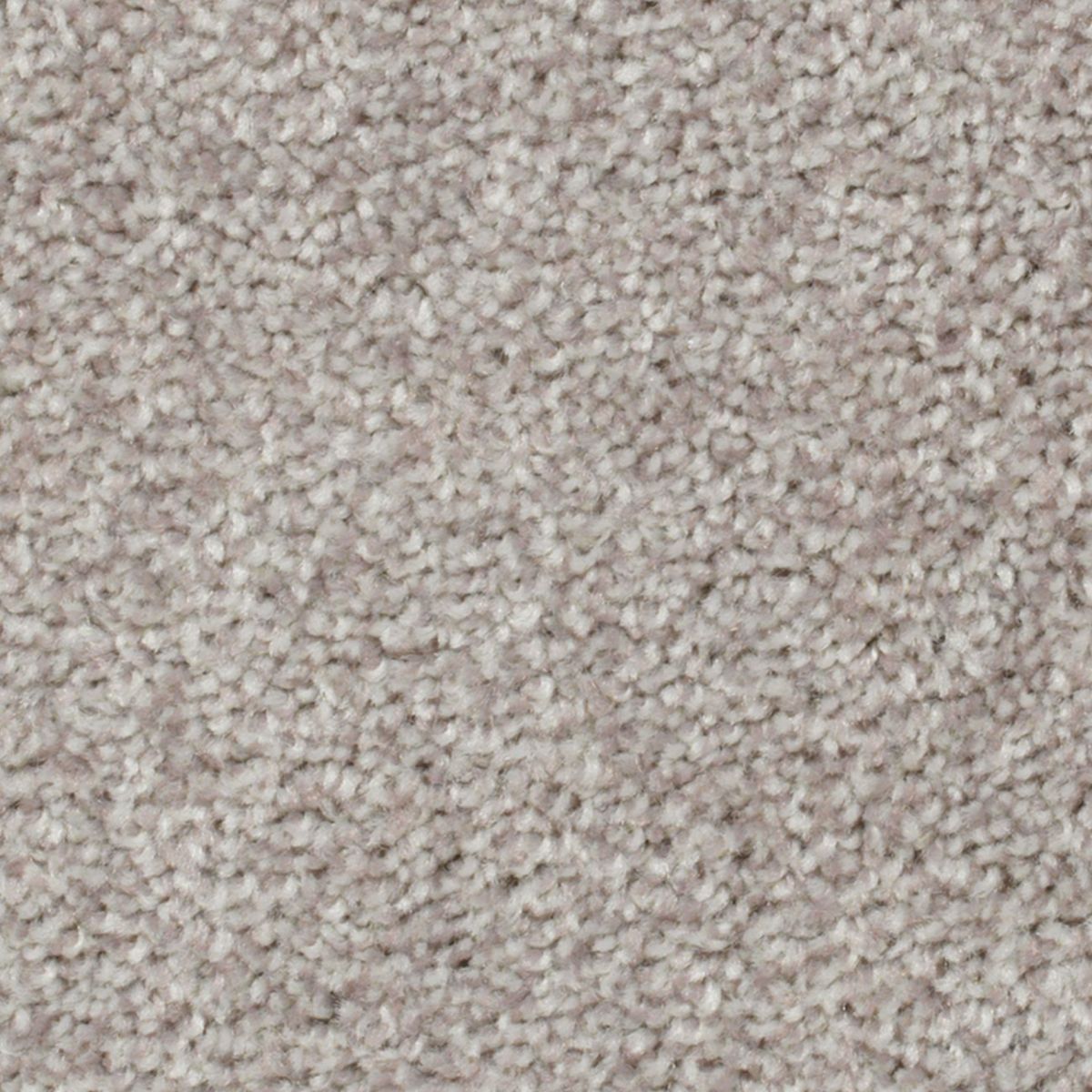 Crestview carpet in Warmest Beige