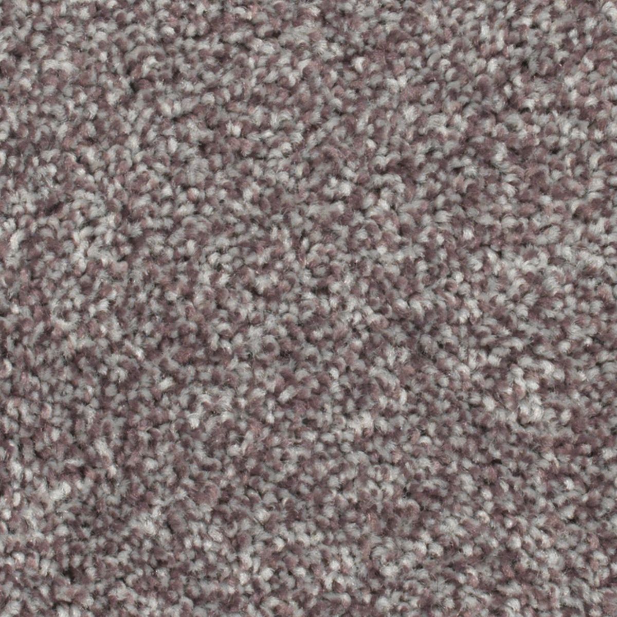 Wilmington Creek carpet in Enchanting