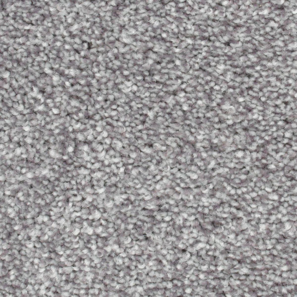 Wilmington Creek carpet in Wool Heather