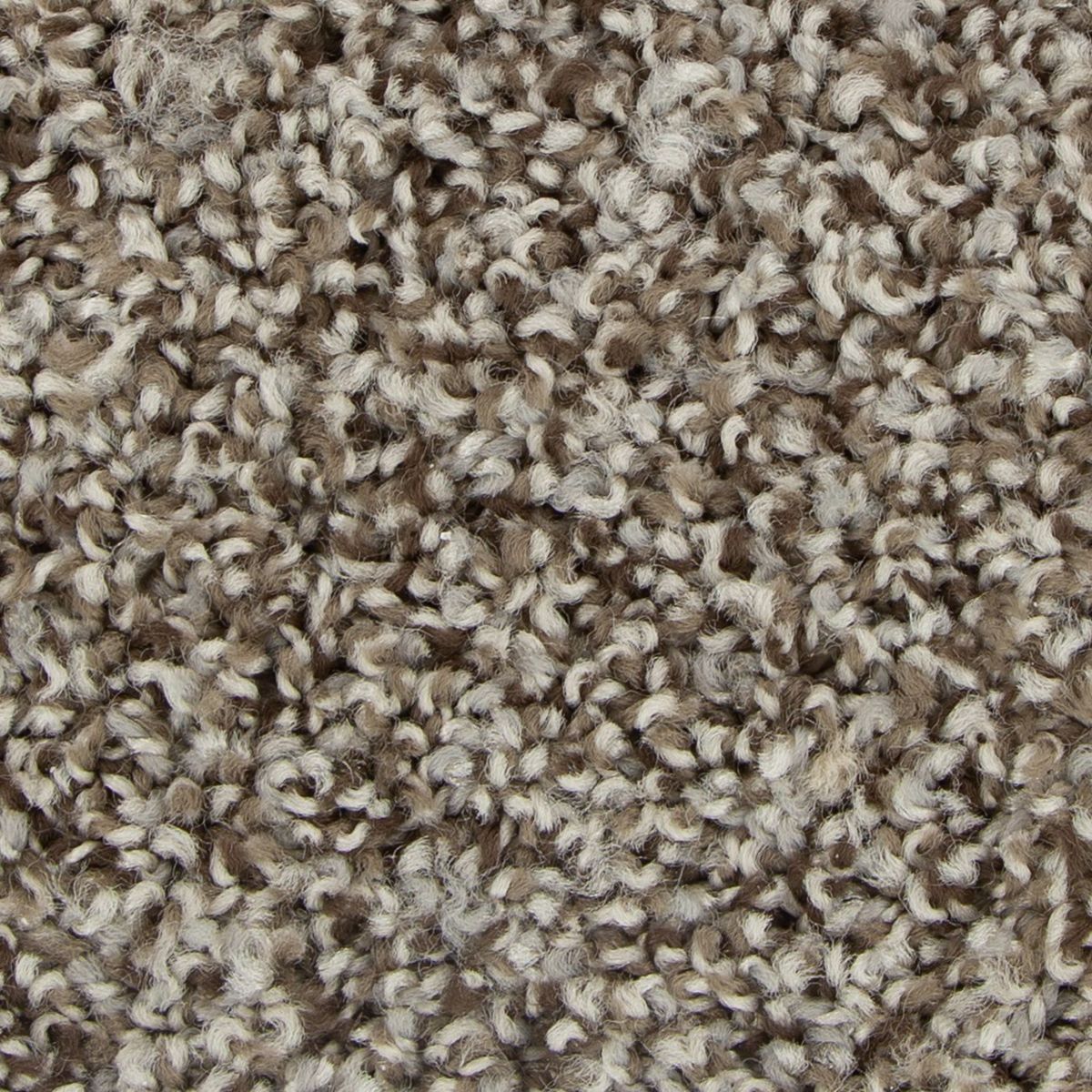 Legacy carpet in Drift