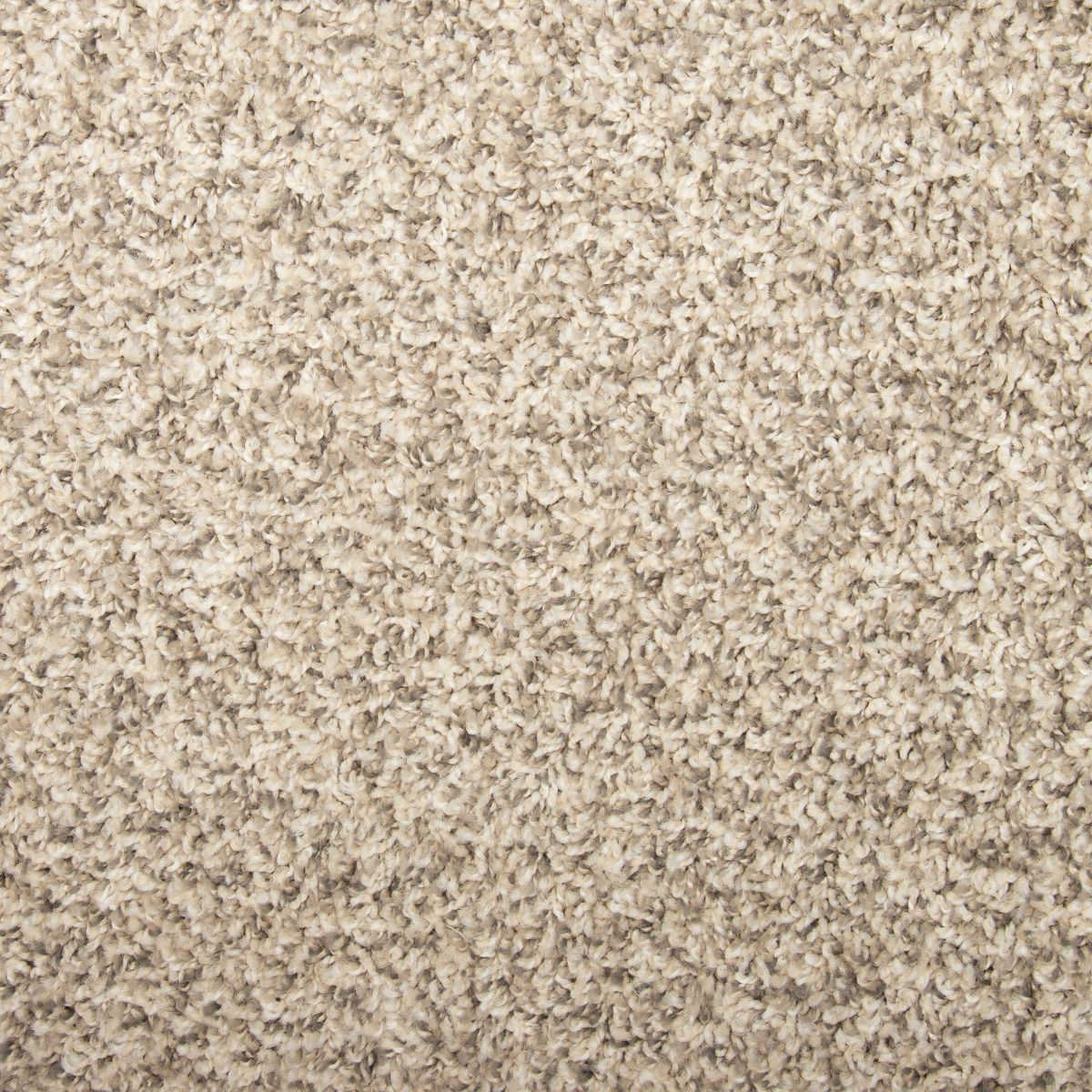Legacy carpet in Silver Dollar