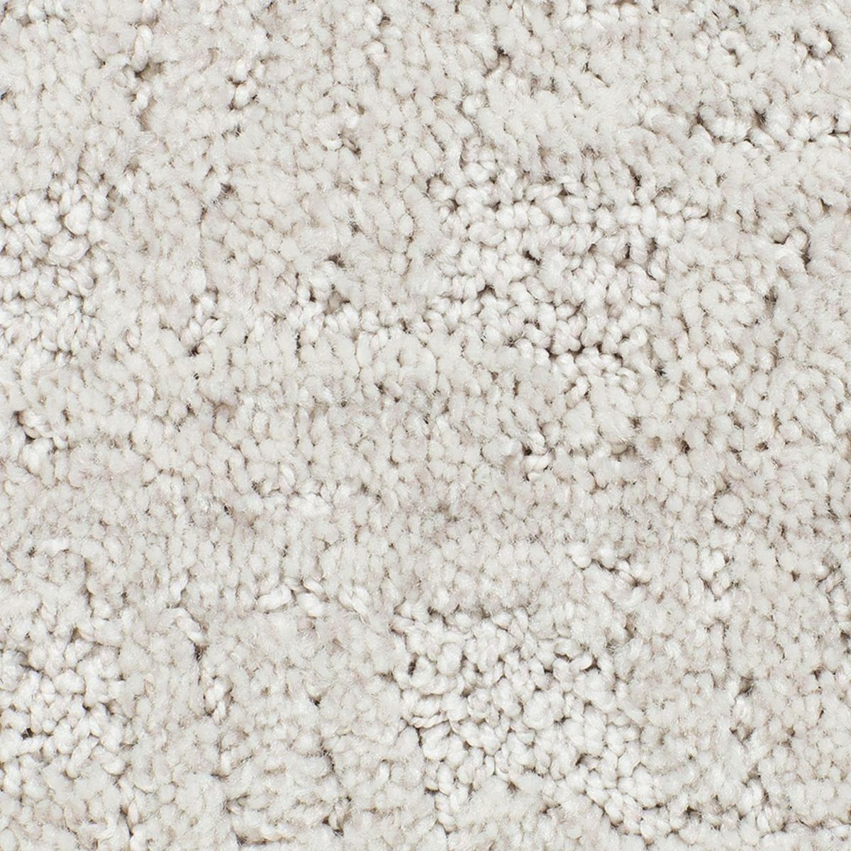 Intertwined carpet in Sand Dollar
