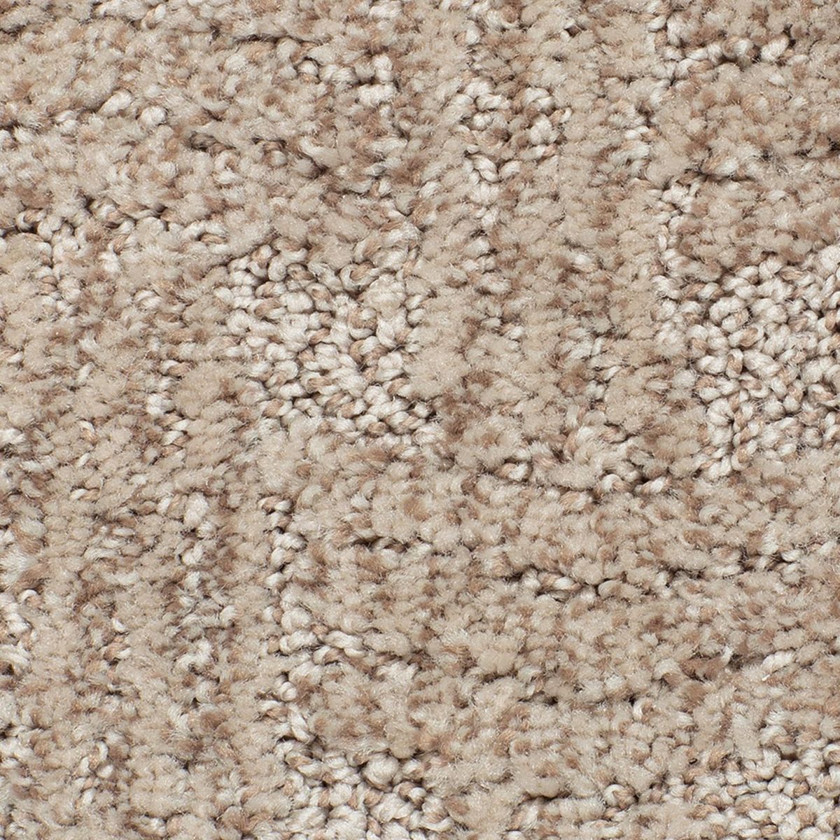 Intertwined carpet in Desert Accents