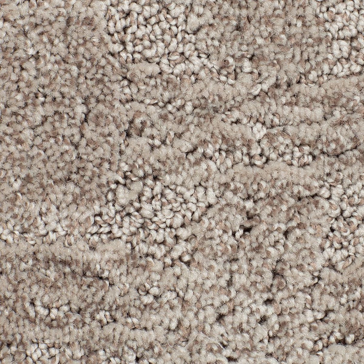 Intertwined carpet in Brickle