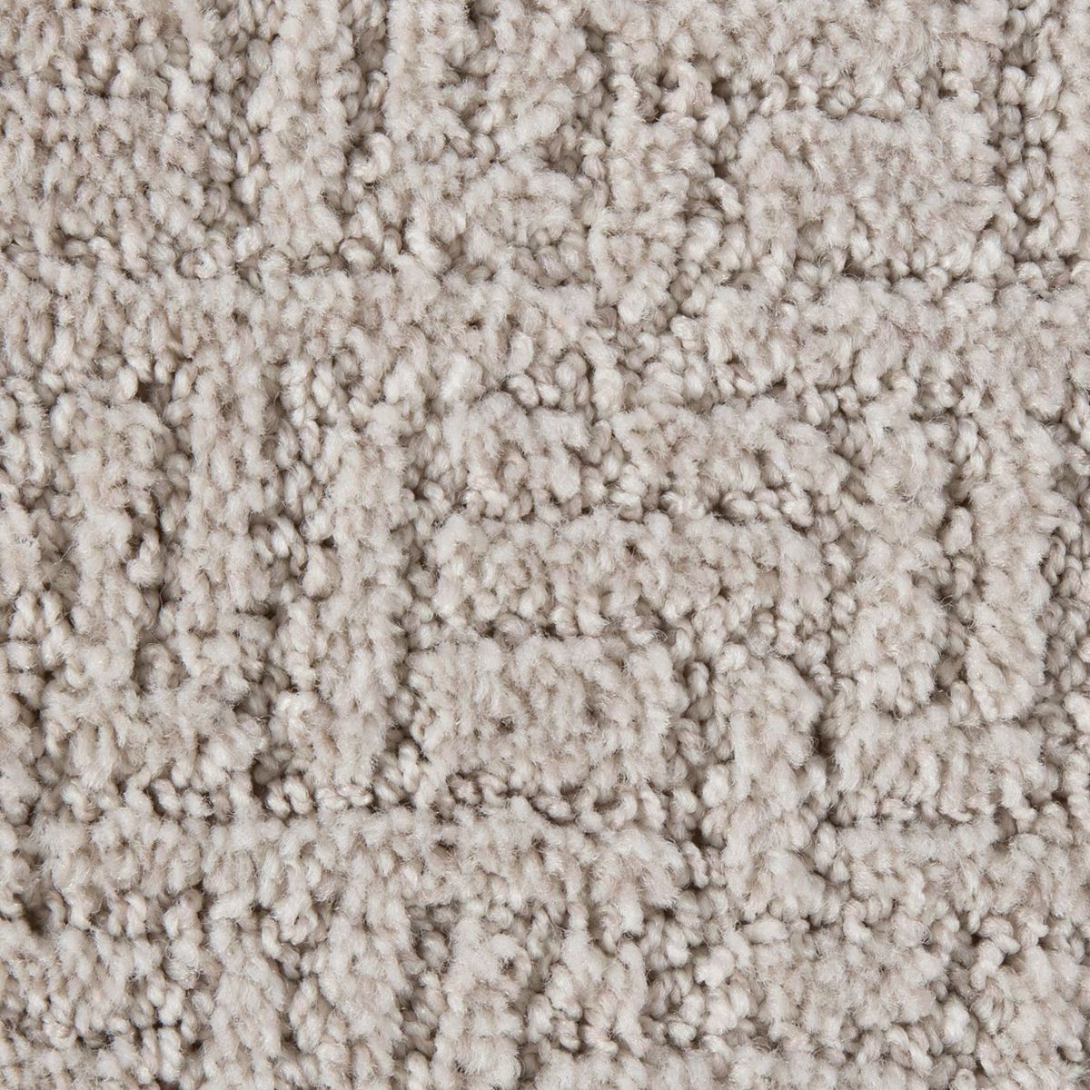 Bountiful Beauty carpet in Sand Dollar