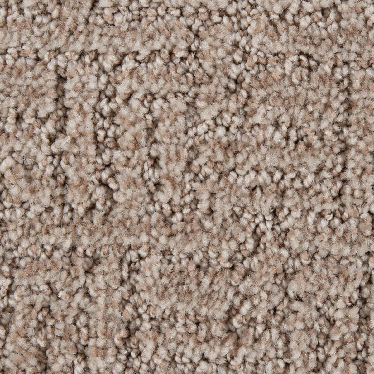 Stylish Edge carpet in Carmelita