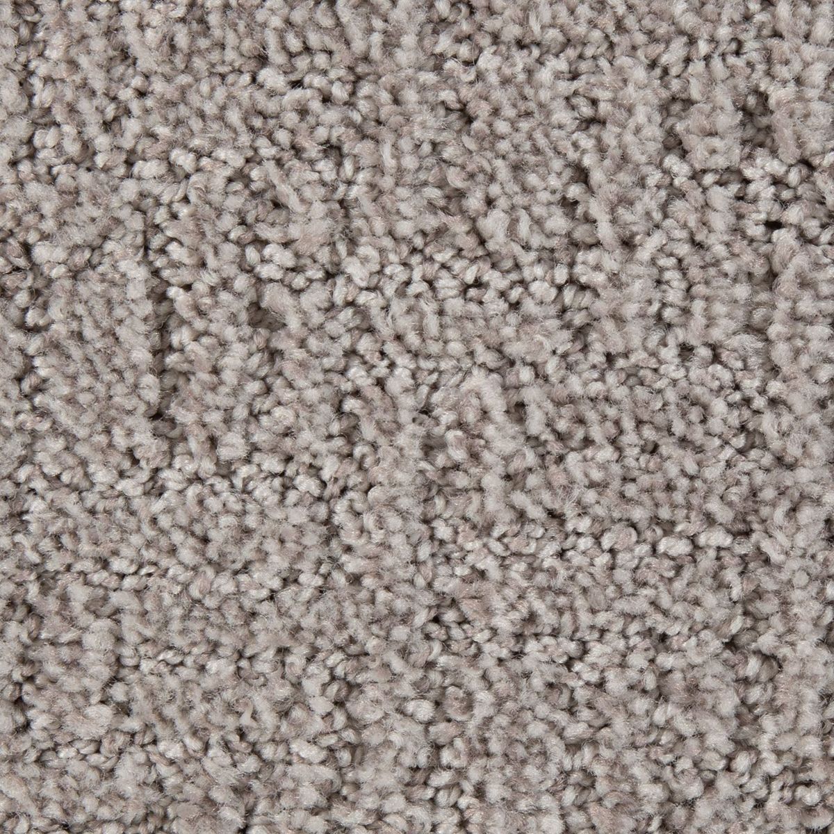 Stylish Edge carpet in Longhorn