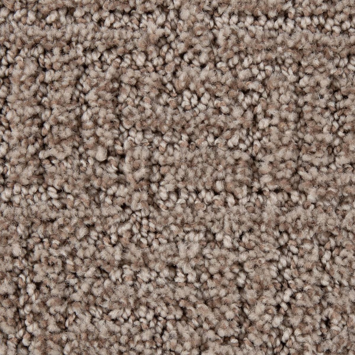 Stylish Edge carpet in Desert Accents