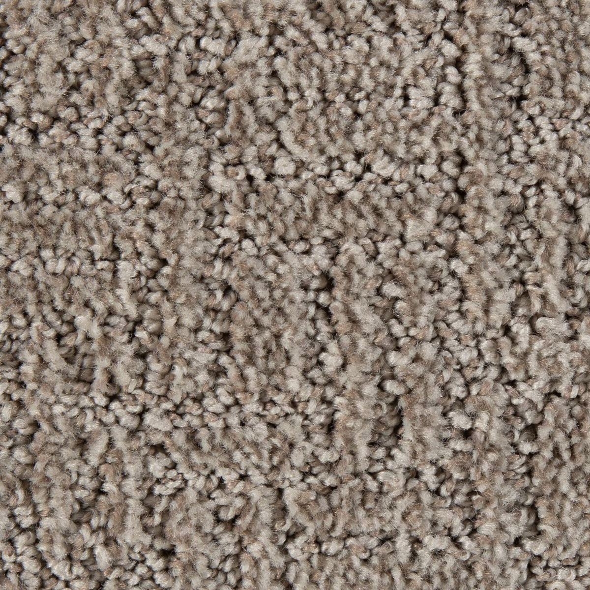 Bountiful Beauty carpet in Brickle