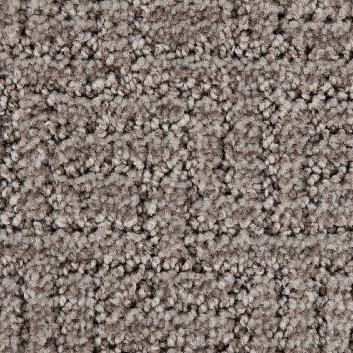Stylish Edge carpet in Bedrock