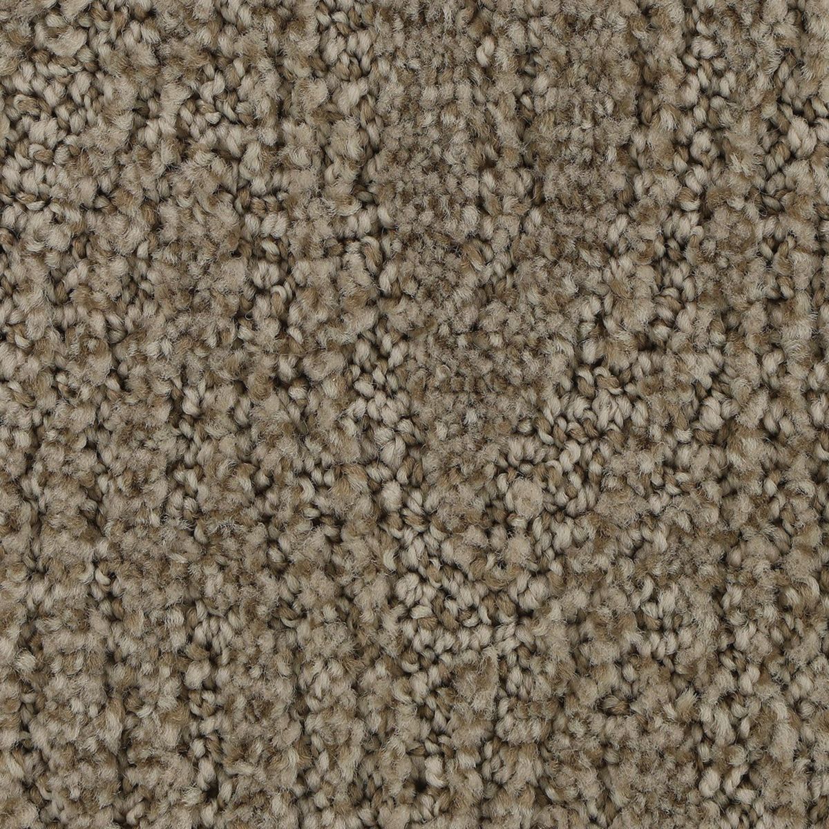 Popular Style carpet in Ancestral