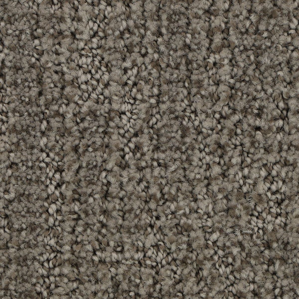 Popular Style carpet in Mist