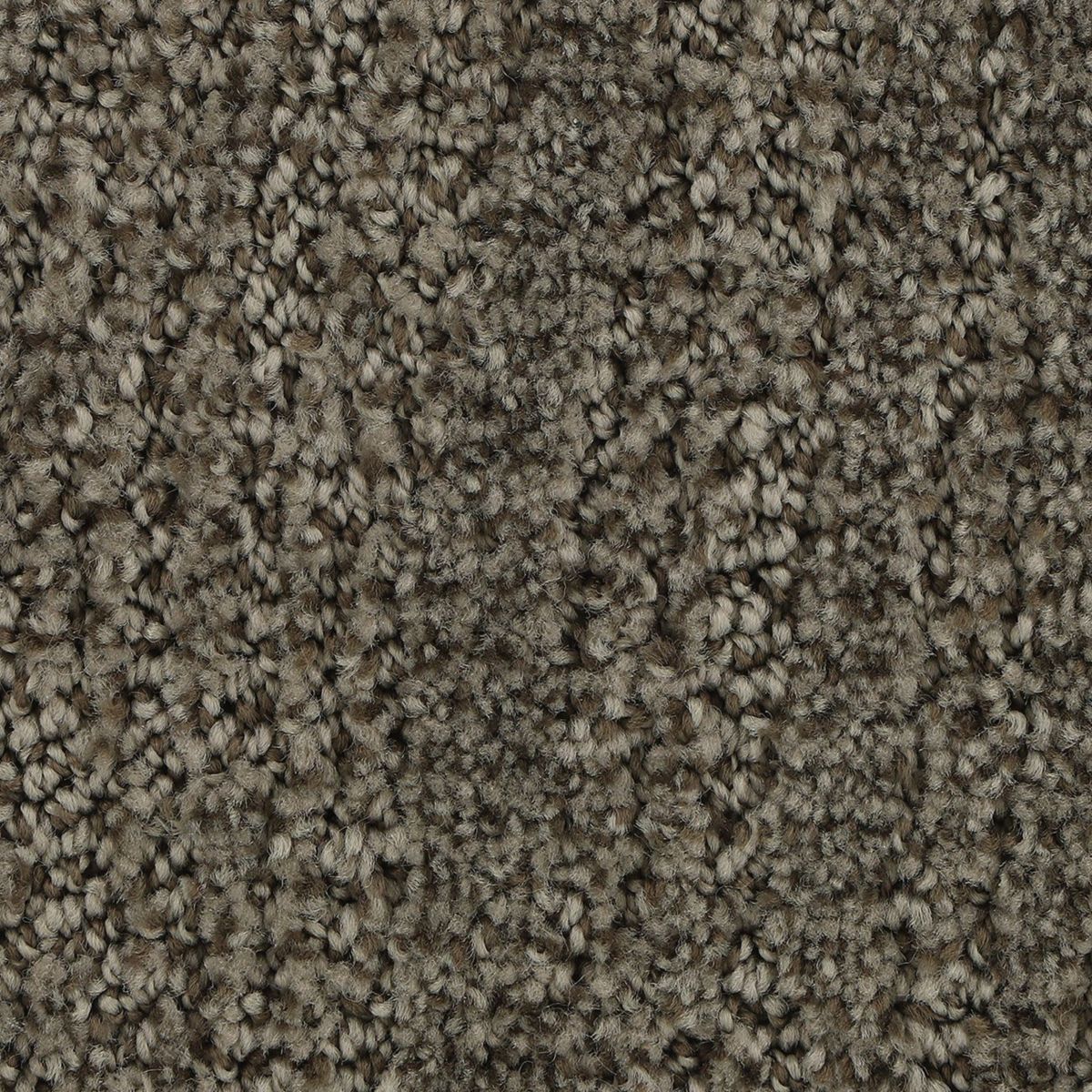 Popular Style carpet in Tinsel