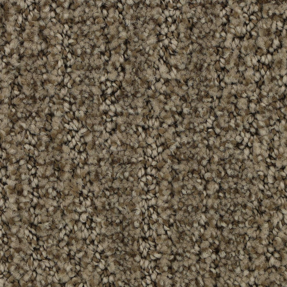 Popular Style carpet in Hickory