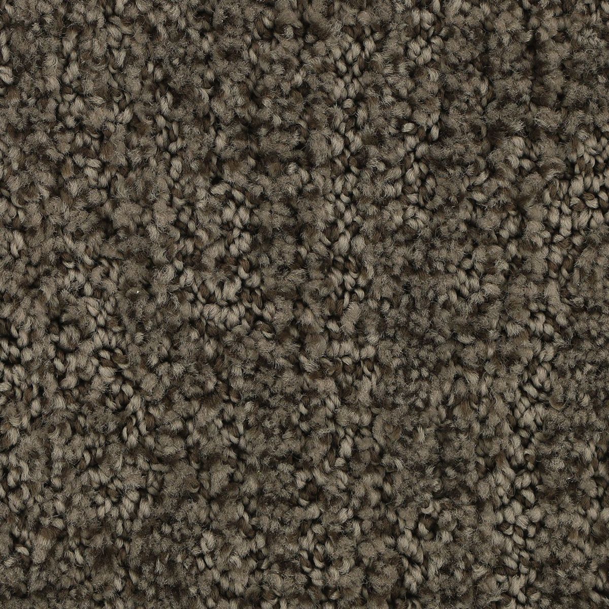 Popular Style carpet in Rock Garden