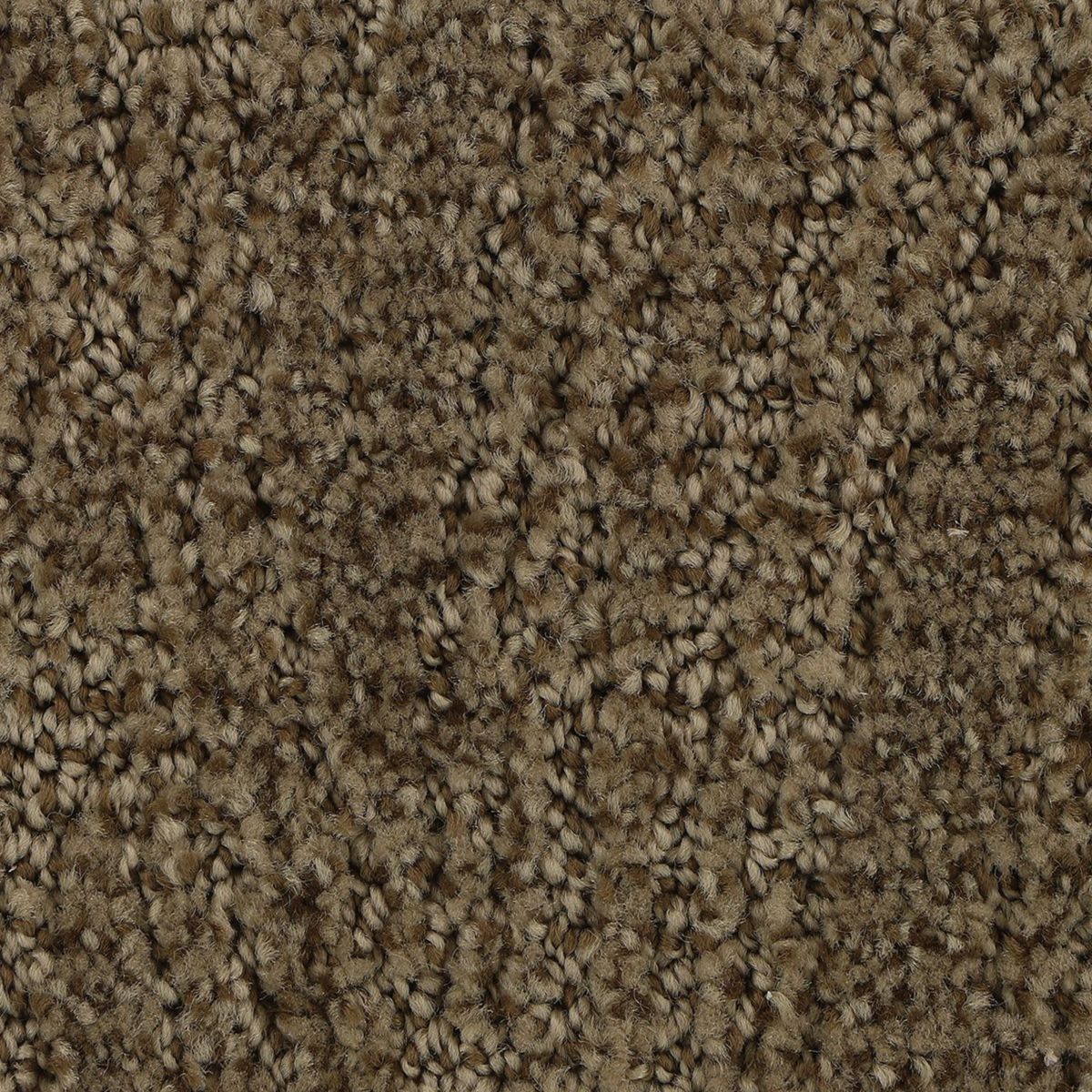 Popular Style carpet in Tightrope