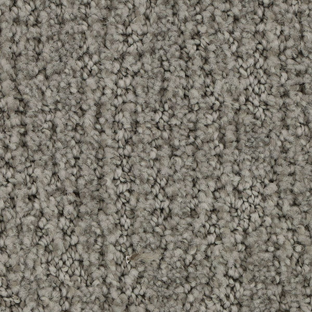 Popular Style carpet in Starlet