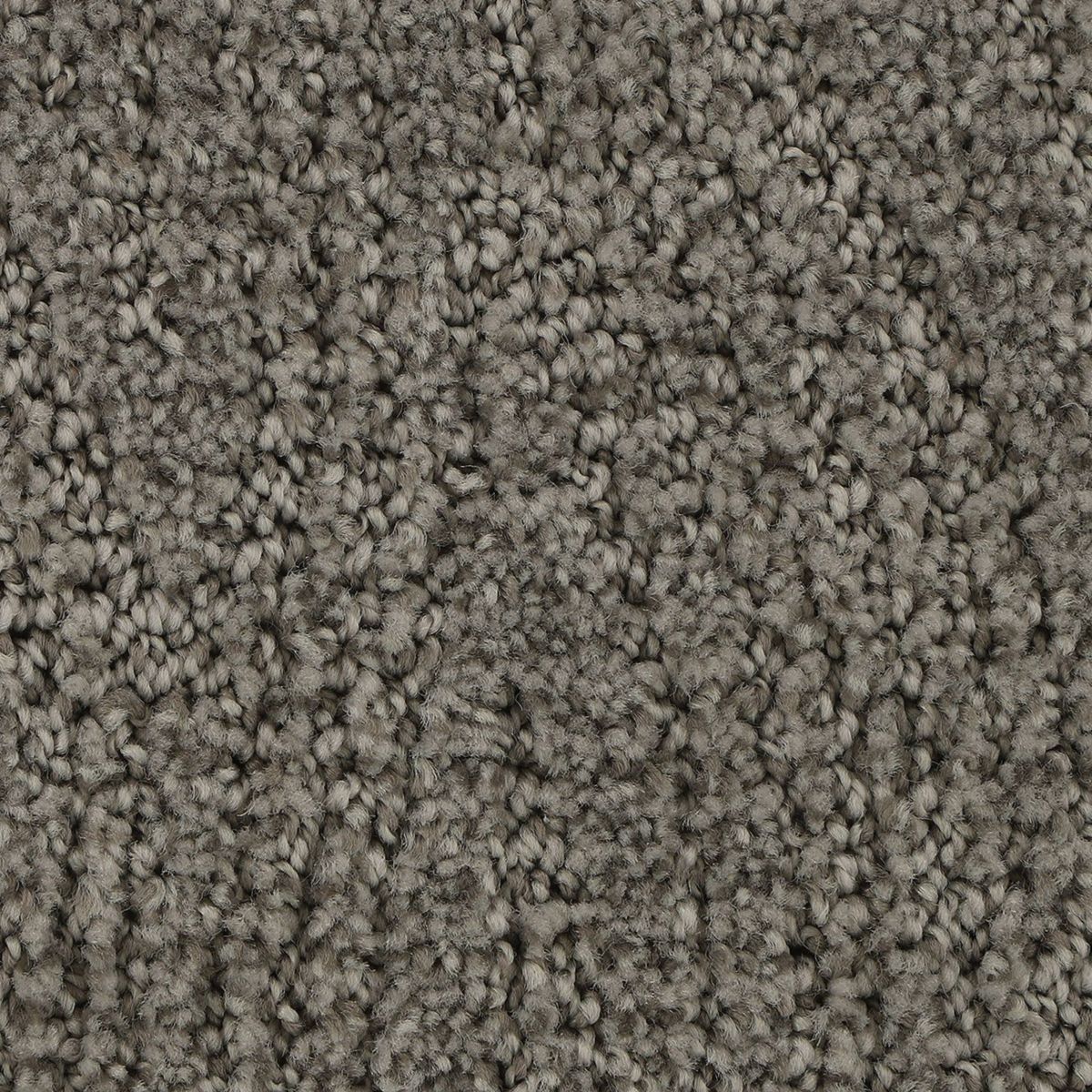 Popular Style carpet in Bliss