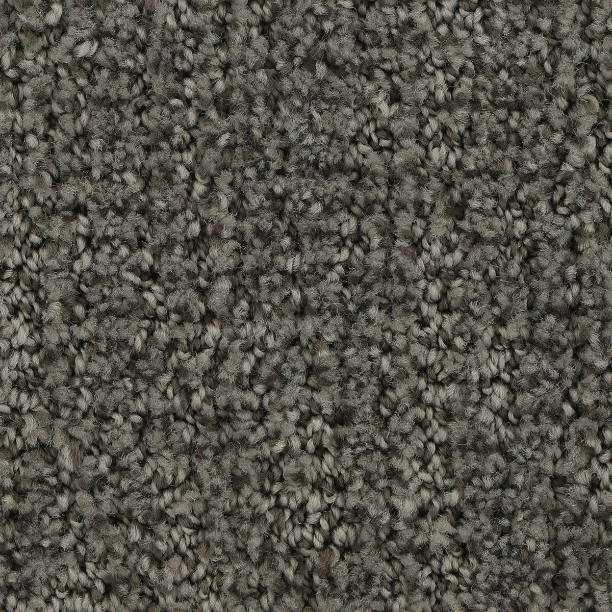 Popular Style carpet in Shale