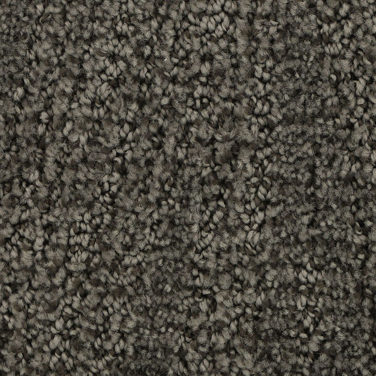 Popular Style carpet in Atrium