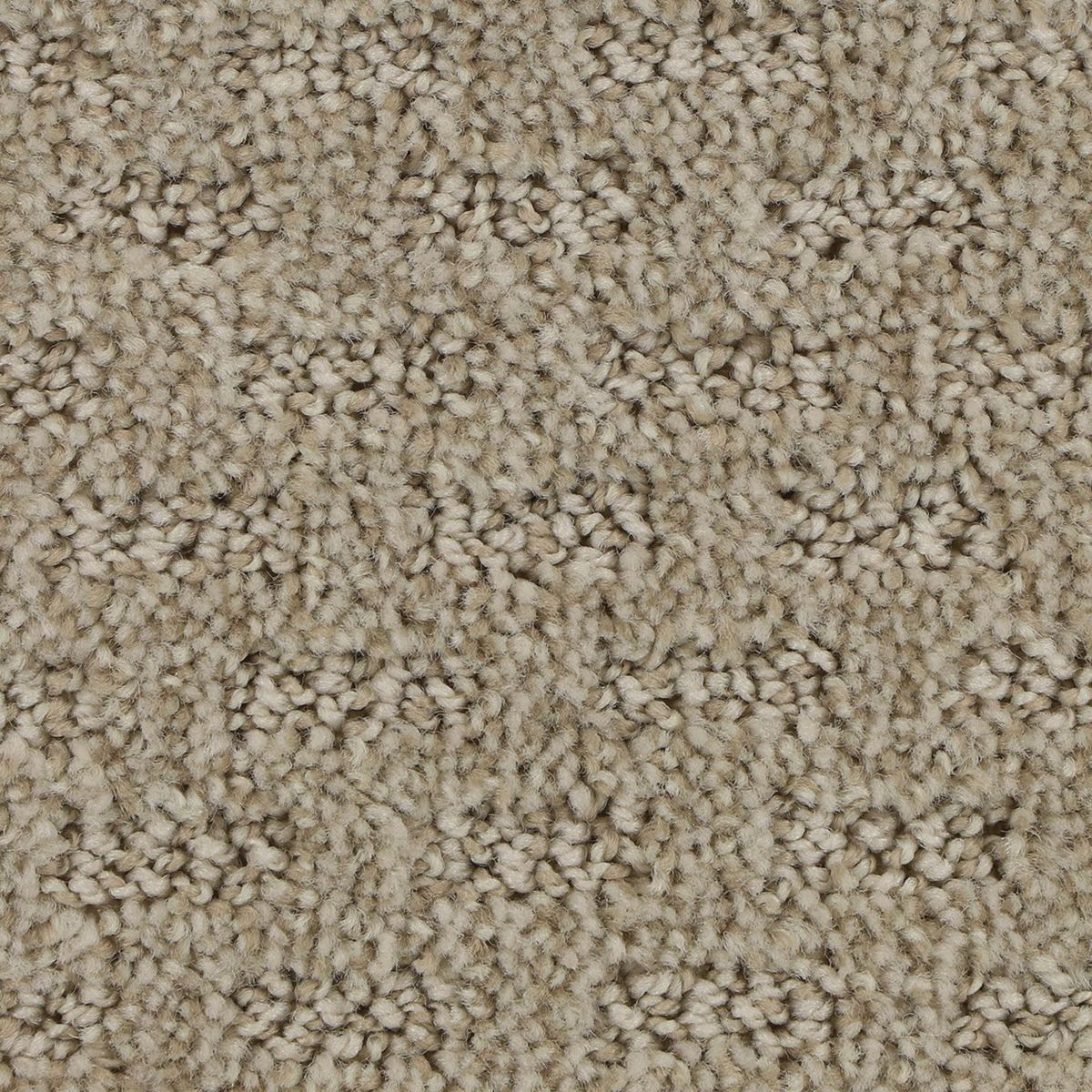 Stylish Tones carpet in Dignified