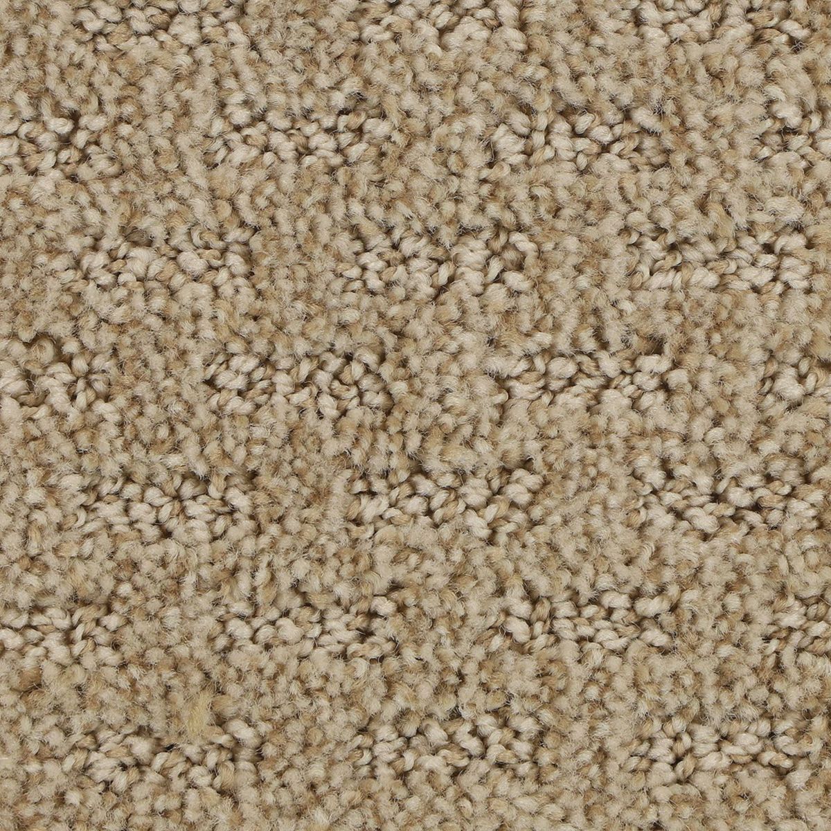 Attractive Trend carpet in Chiffon