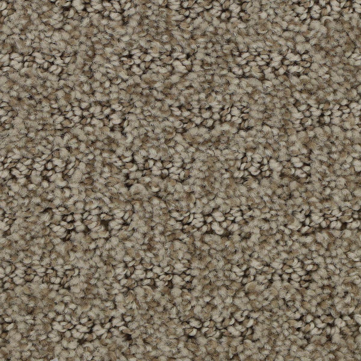Attractive Trend carpet in Ancestral
