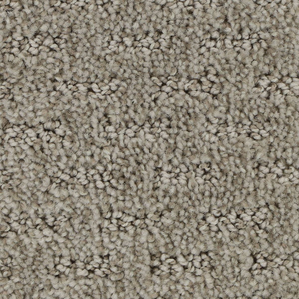 Stylish Tones carpet in Yearling