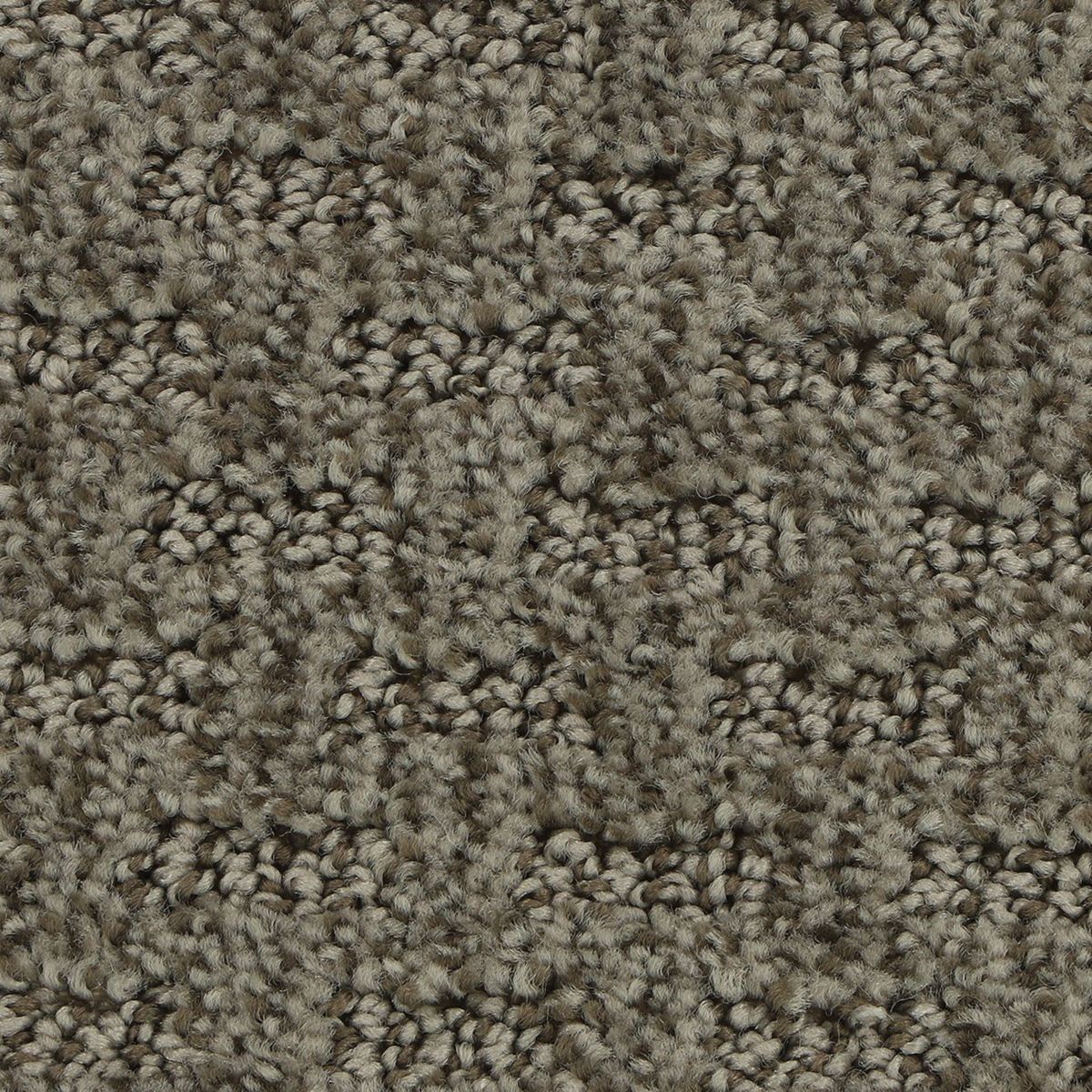 Stylish Tones carpet in Tinsel