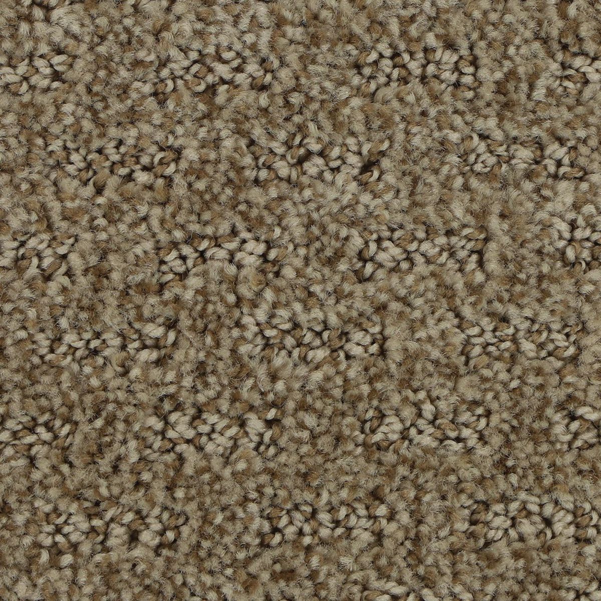 Stylish Tones carpet in Homemade