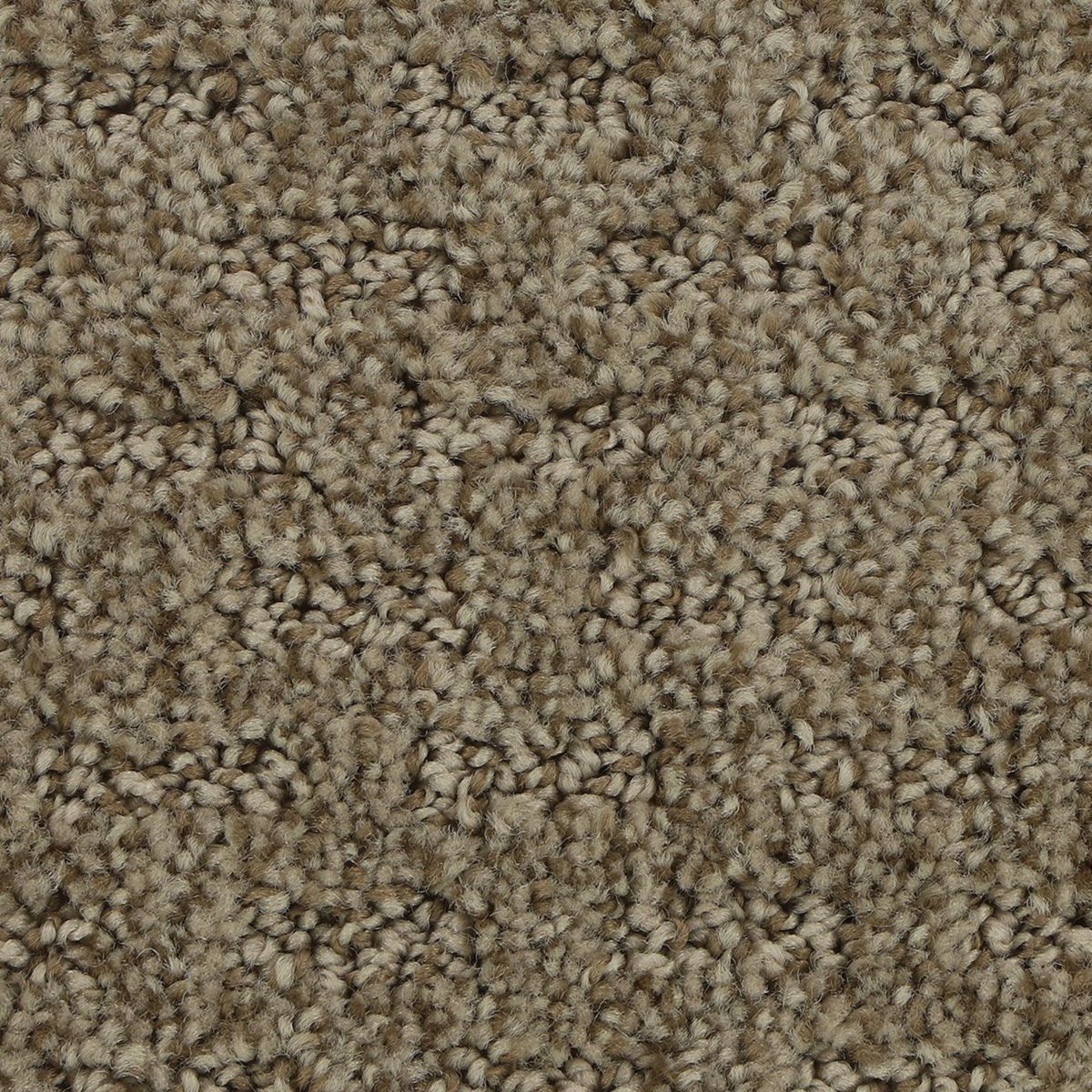 Attractive Trend carpet in Hickory