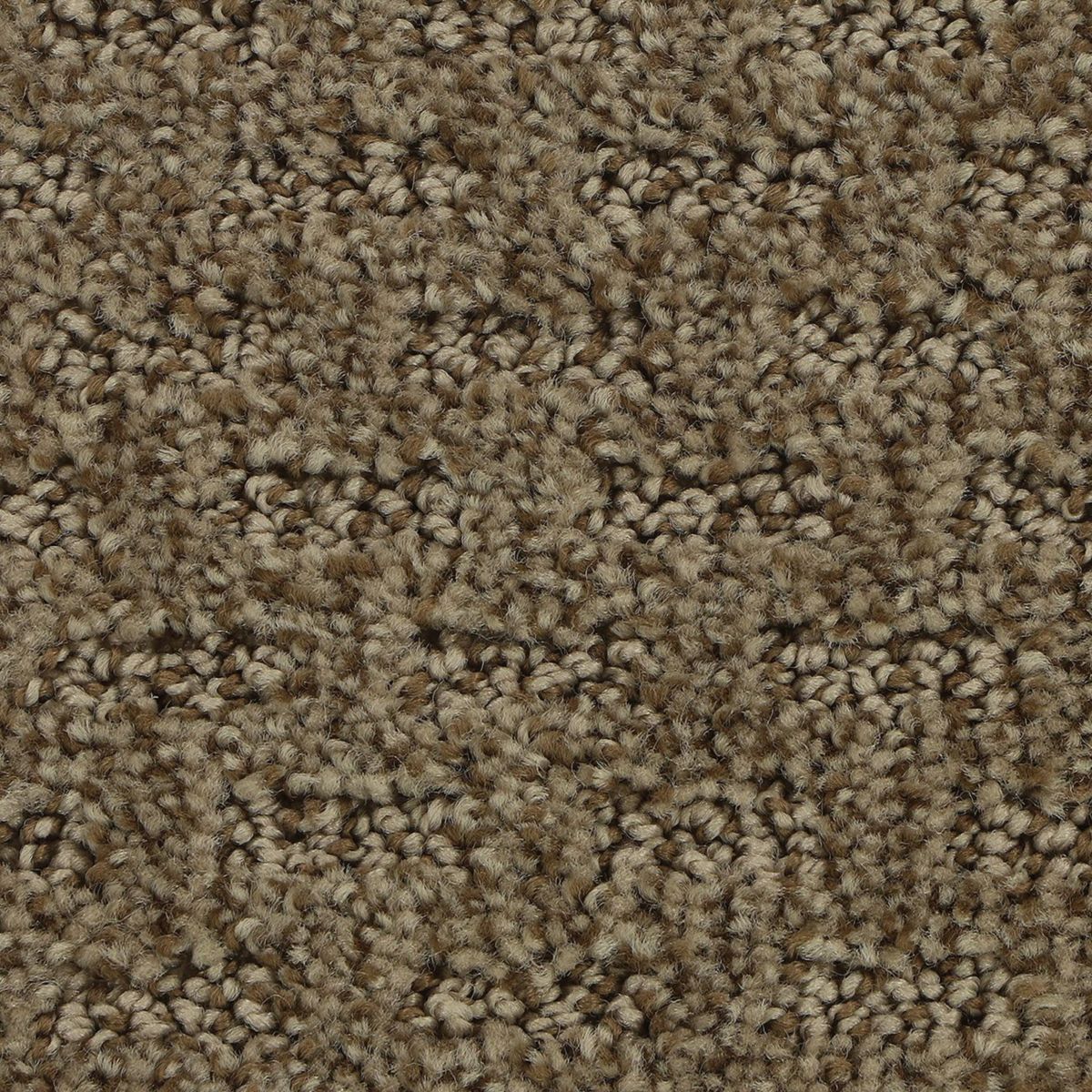 Stylish Tones carpet in Tightrope