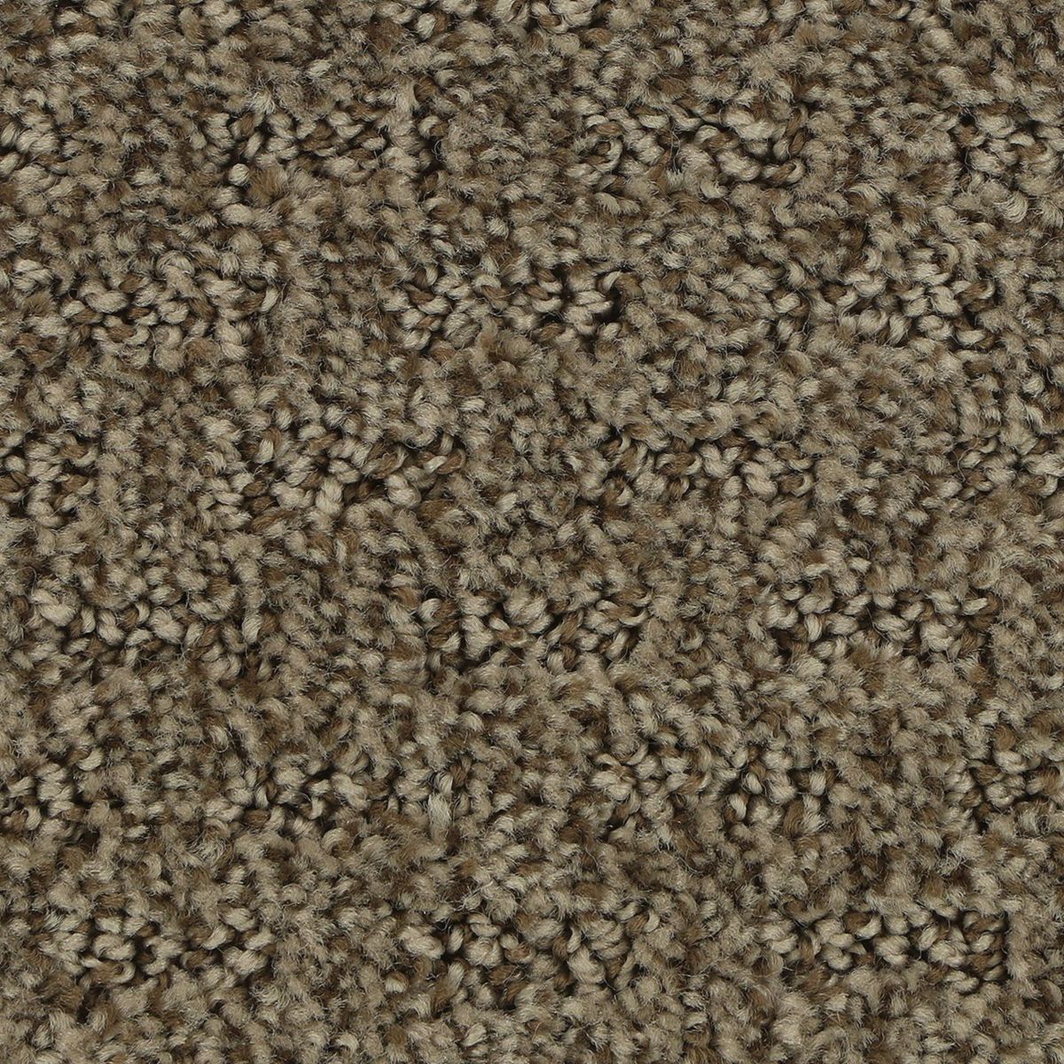 Stylish Tones carpet in Malted