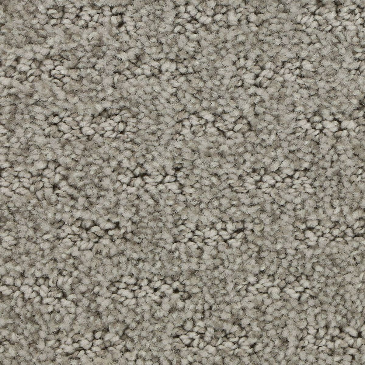 Attractive Trend carpet in Starlet