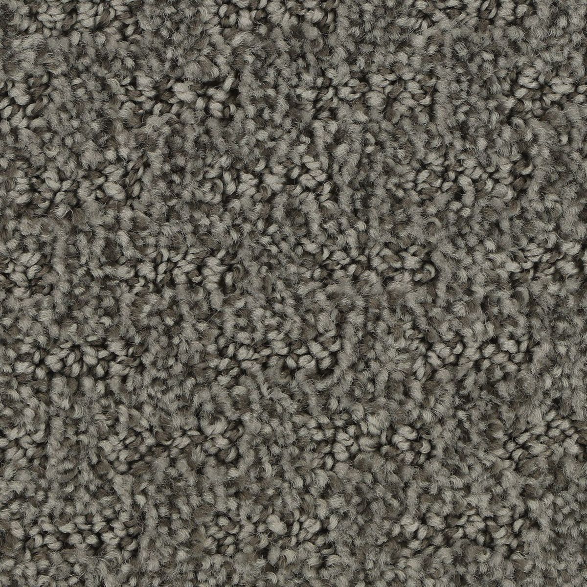 Attractive Trend carpet in Shale