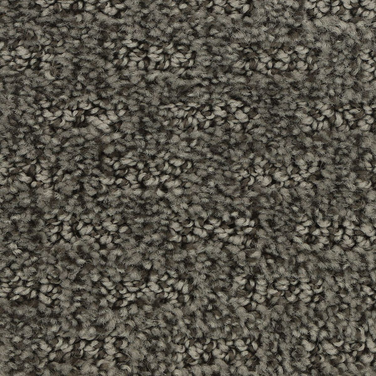 Stylish Tones carpet in Atrium