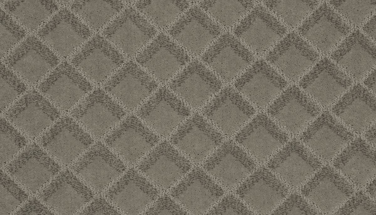 Graceful Appeal carpet in Fleece