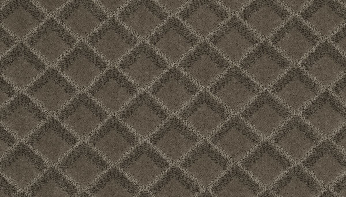 Graceful Appeal carpet in Hoot Owl