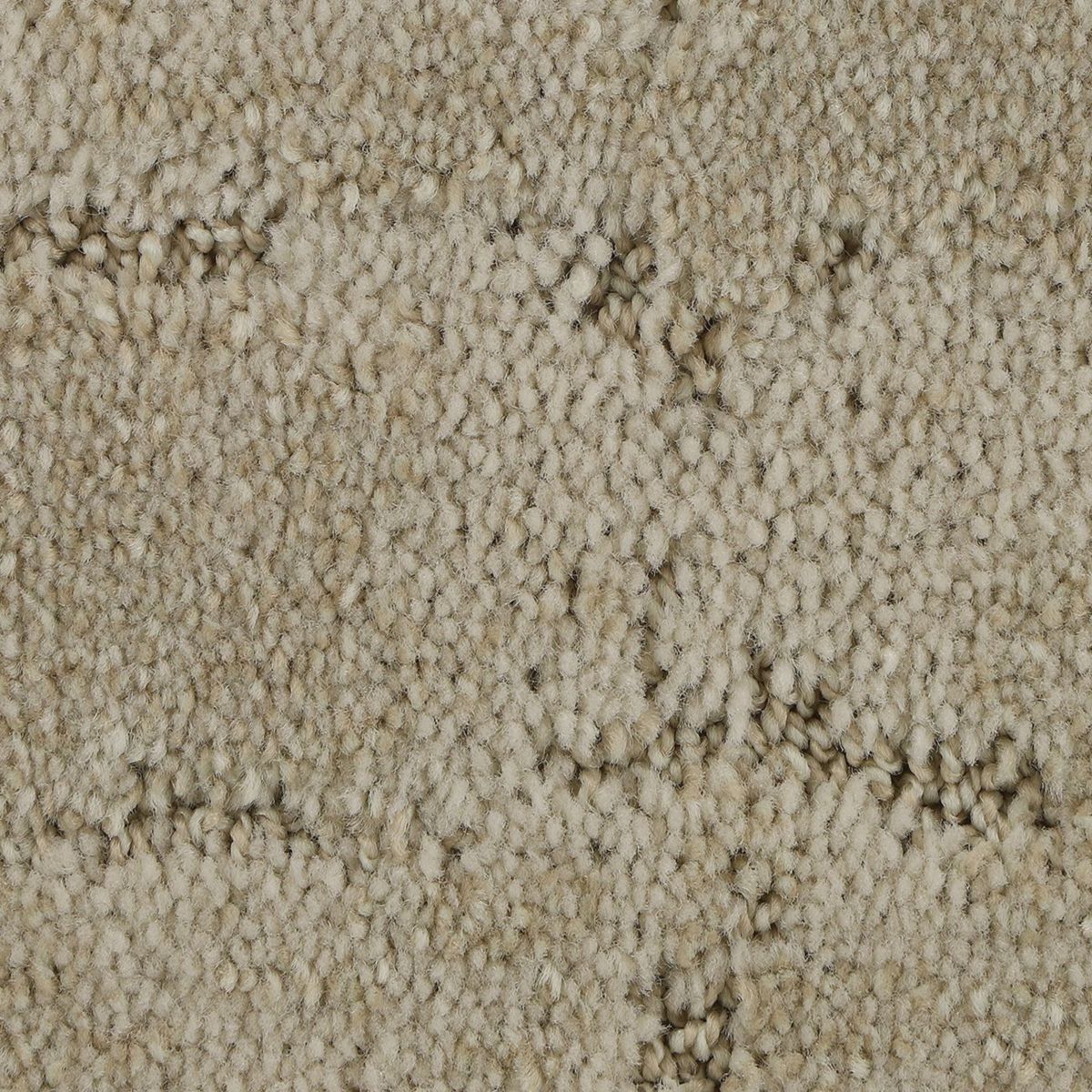 Elaborate Appeal carpet in Whirlwind
