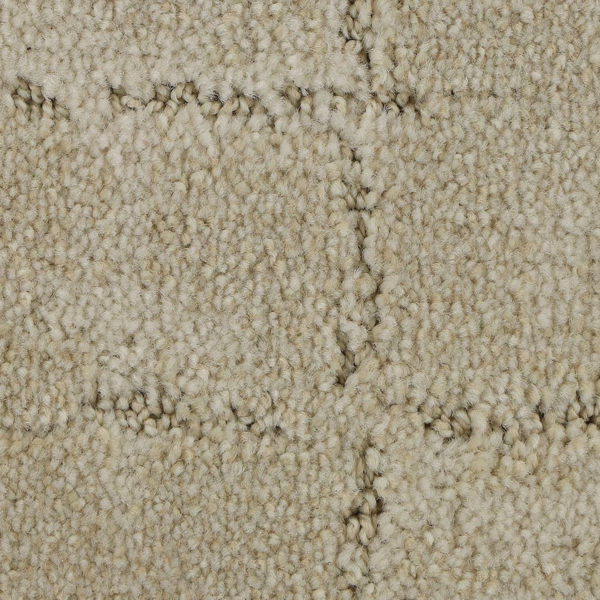 Elaborate Appeal carpet in Luxury