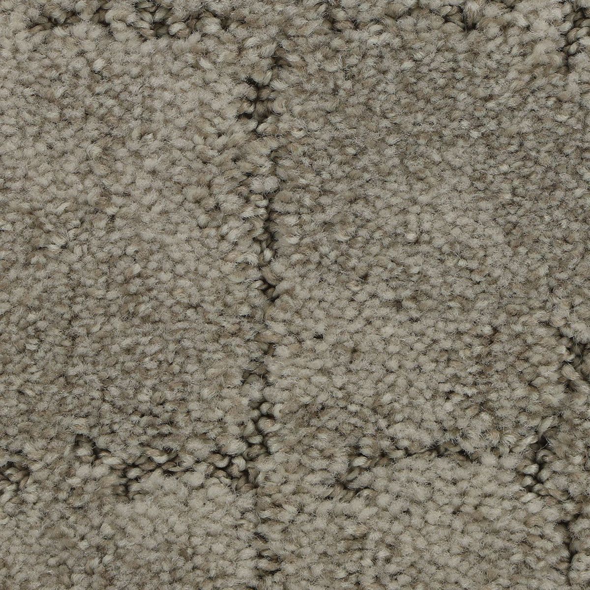 Elaborate Appeal carpet in Amarillo