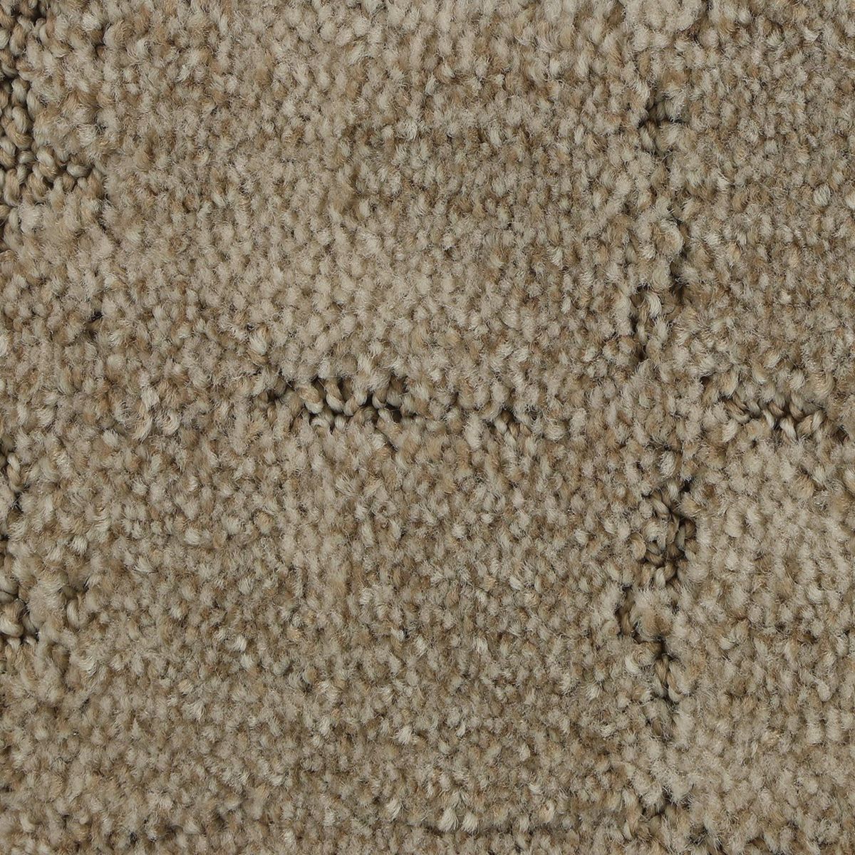 Elaborate Appeal carpet in Haven