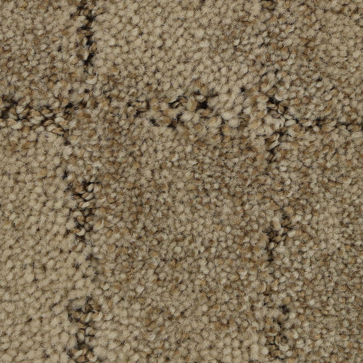 Elaborate Appeal carpet in Cancun