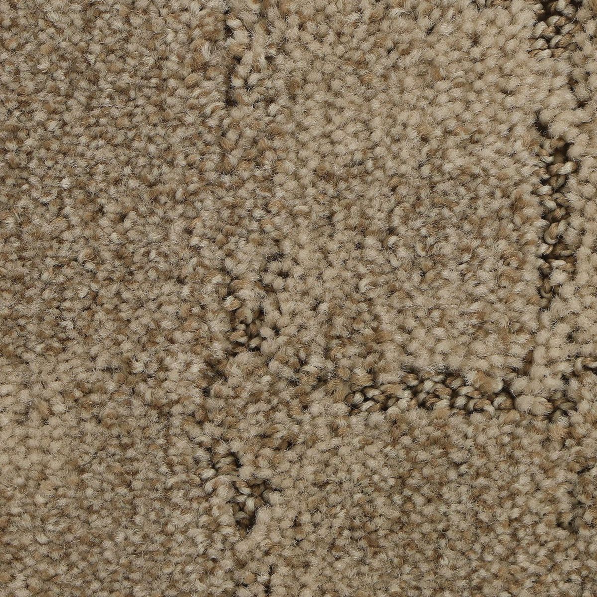 Elaborate Appeal carpet in Twine